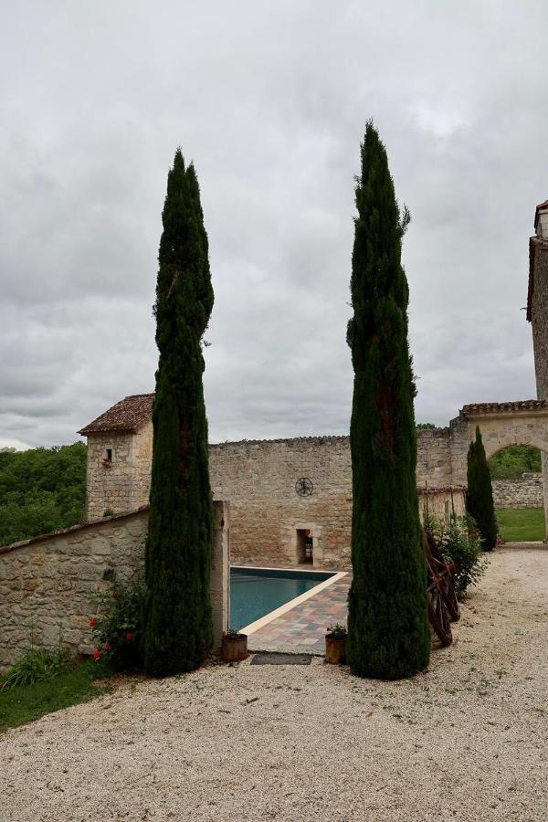 Château de Plèneselve Bon-Encontre Exterior foto