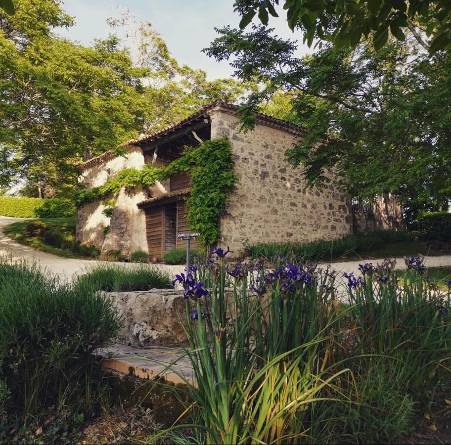 Château de Plèneselve Bon-Encontre Exterior foto