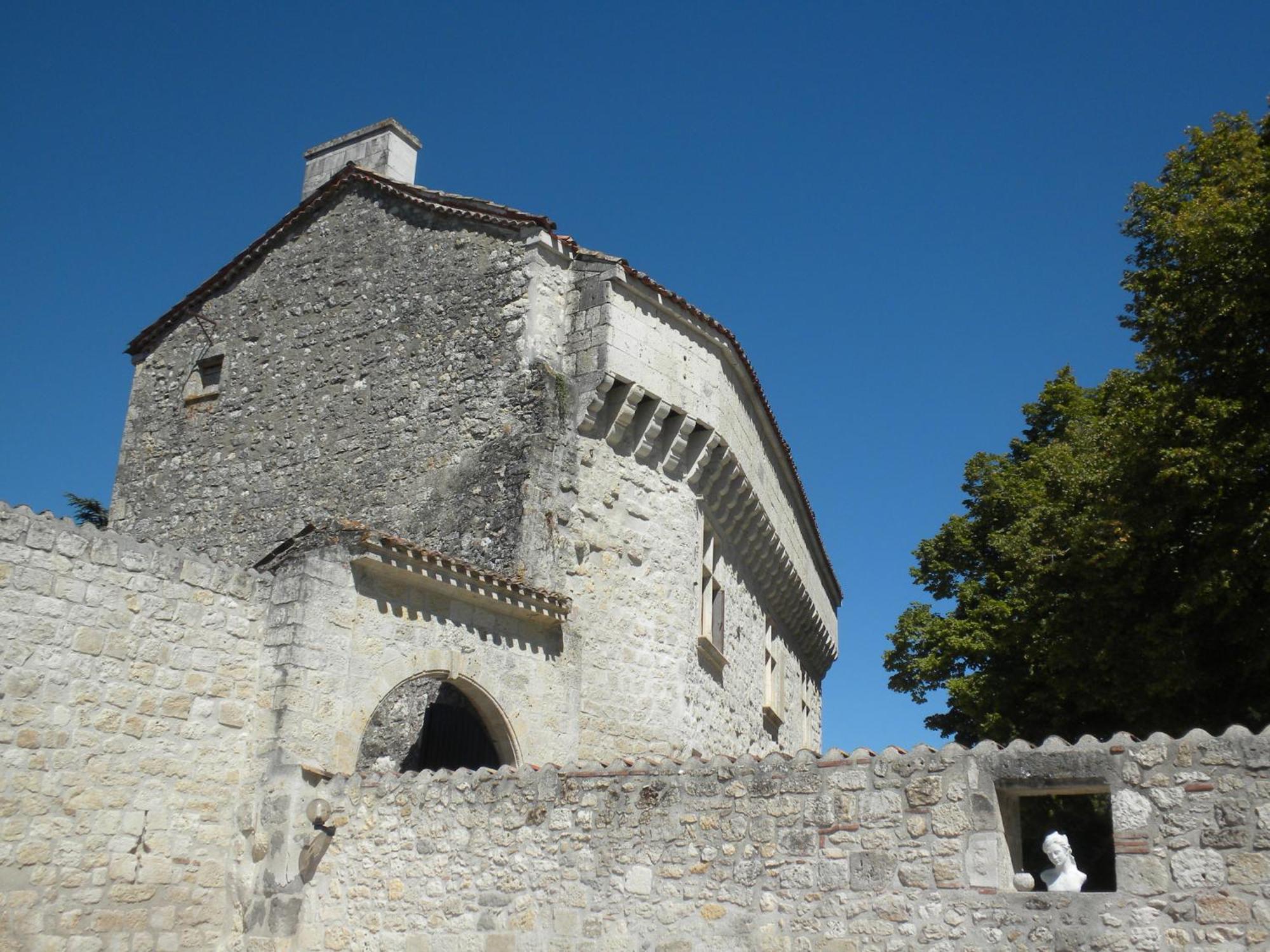 Château de Plèneselve Bon-Encontre Exterior foto