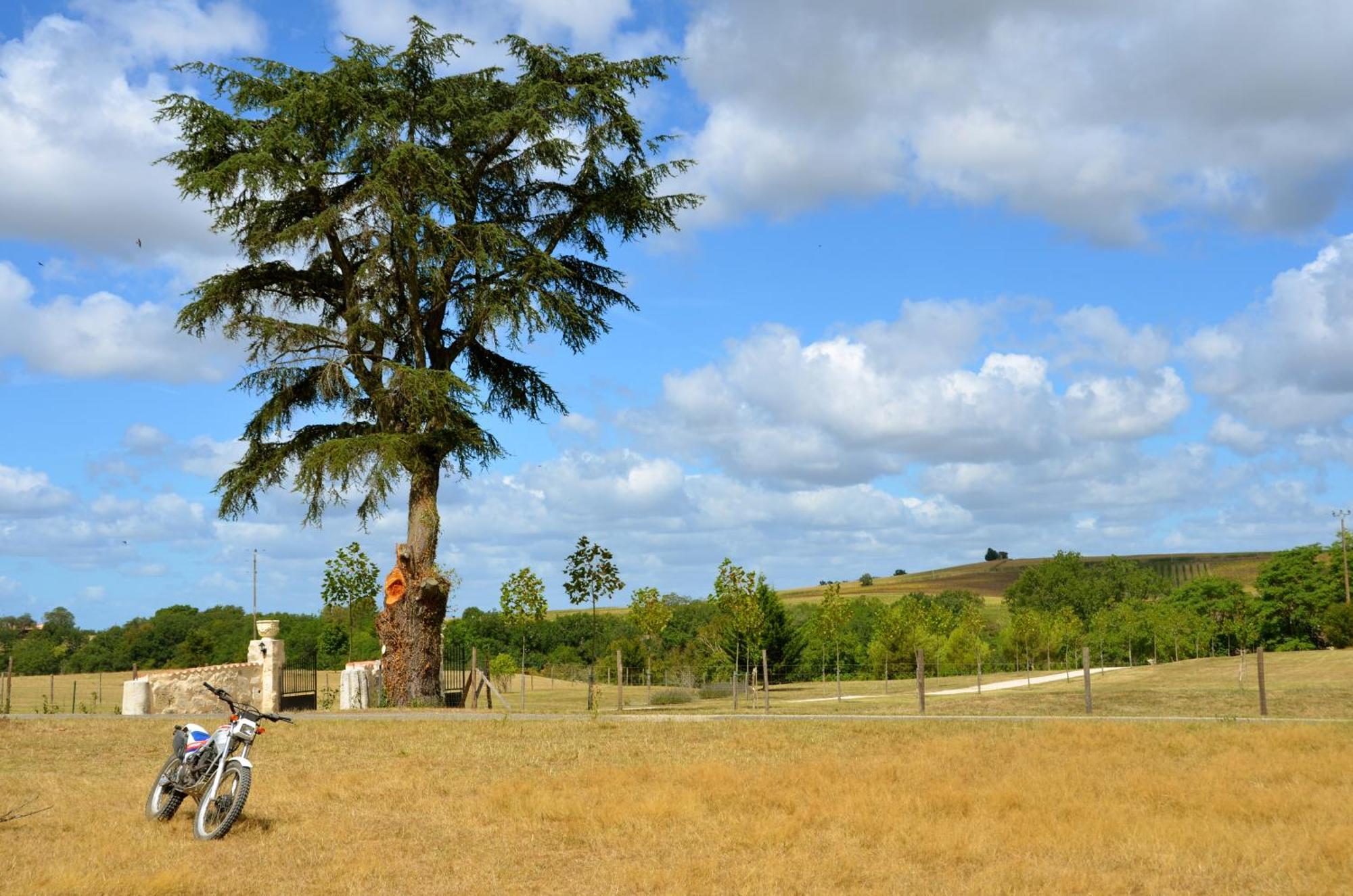 Château de Plèneselve Bon-Encontre Exterior foto
